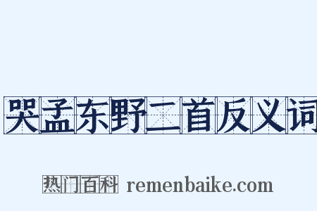 哭孟东野二首反义词是什么意思的图片